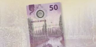 billete de 50 pesos