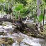 Aguas termales cerca de CDMX