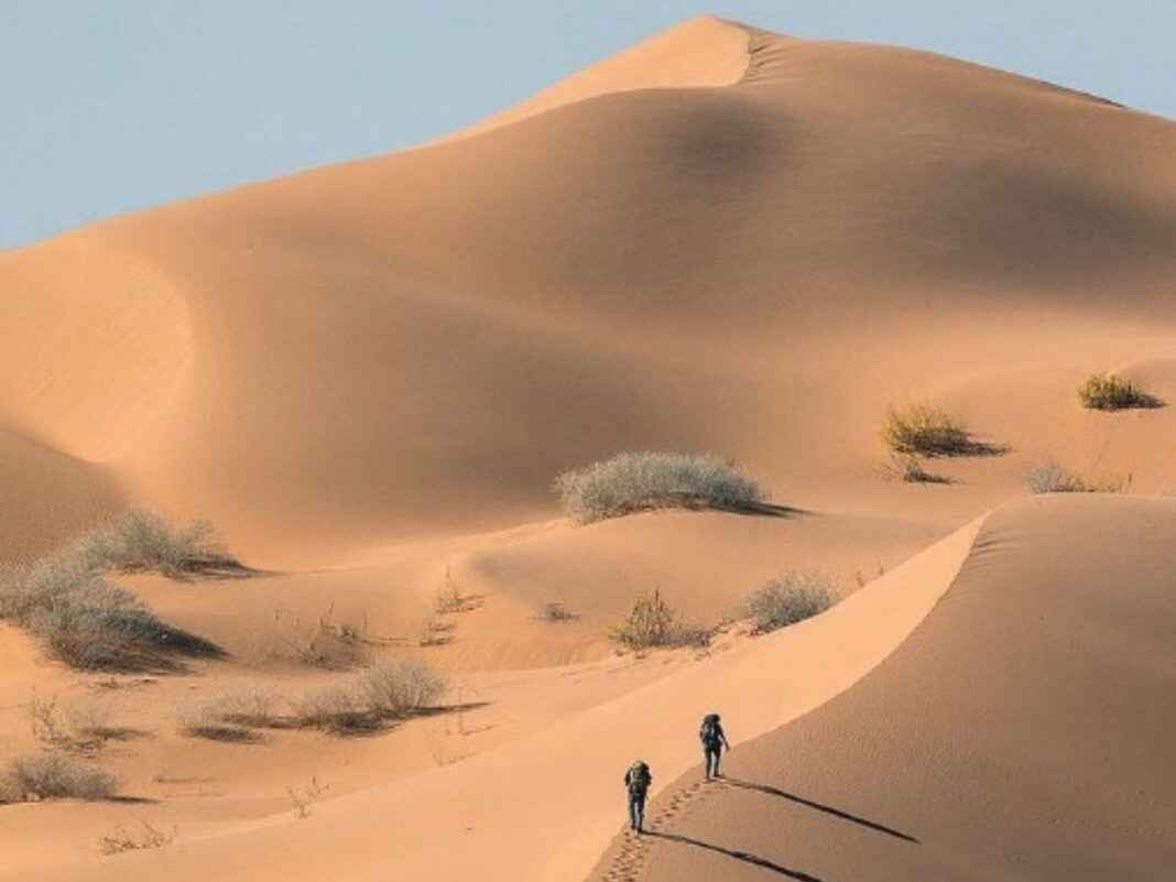 La Ruta del Desierto: una aventura por la naturaleza salvaje de México ...