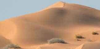 La Ruta del Desierto