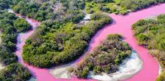 laguna la salina