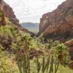 cañon de nacapule