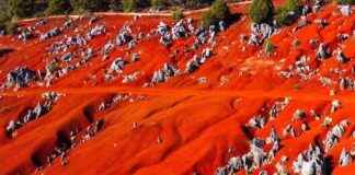 dunas rojas