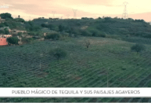 Pueblo Mágico Tequila