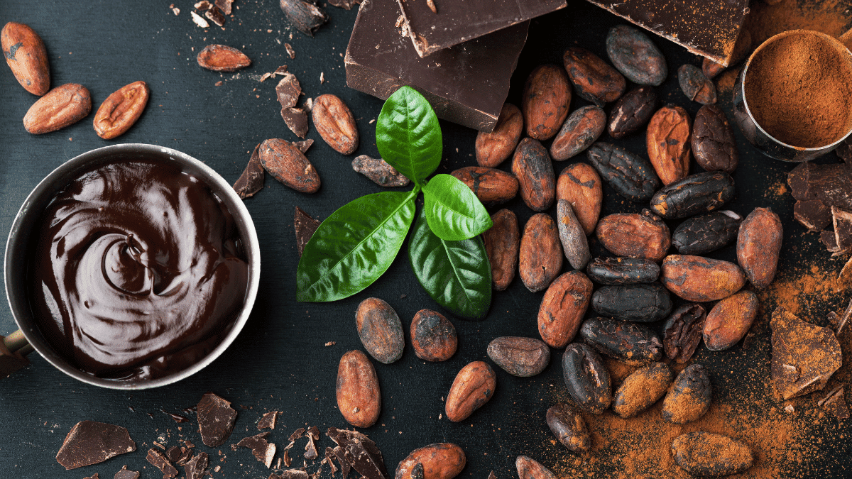 Día del Cacao