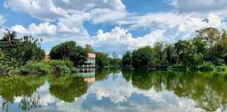 Bosque de Chapultepec