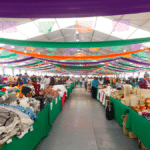 Fiesta de las Culturas Indígenas en el Zócalo