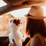 Viaja con tu perro en auto