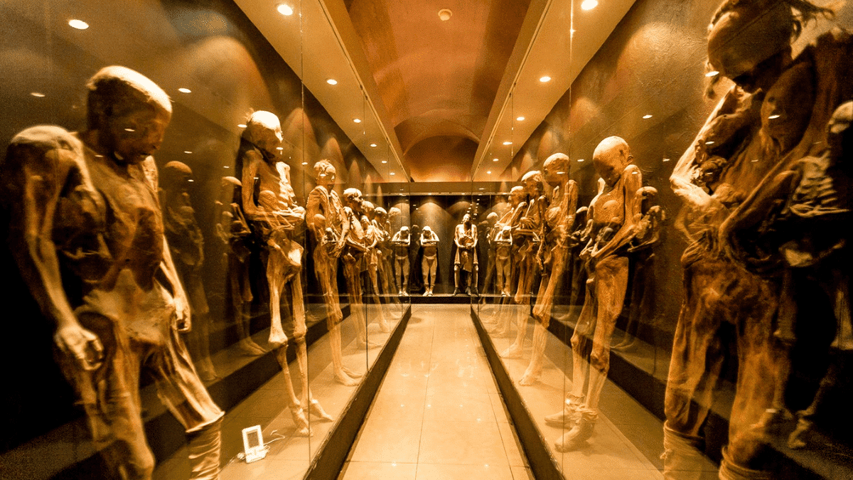 Museo de las momias de Guanajuato