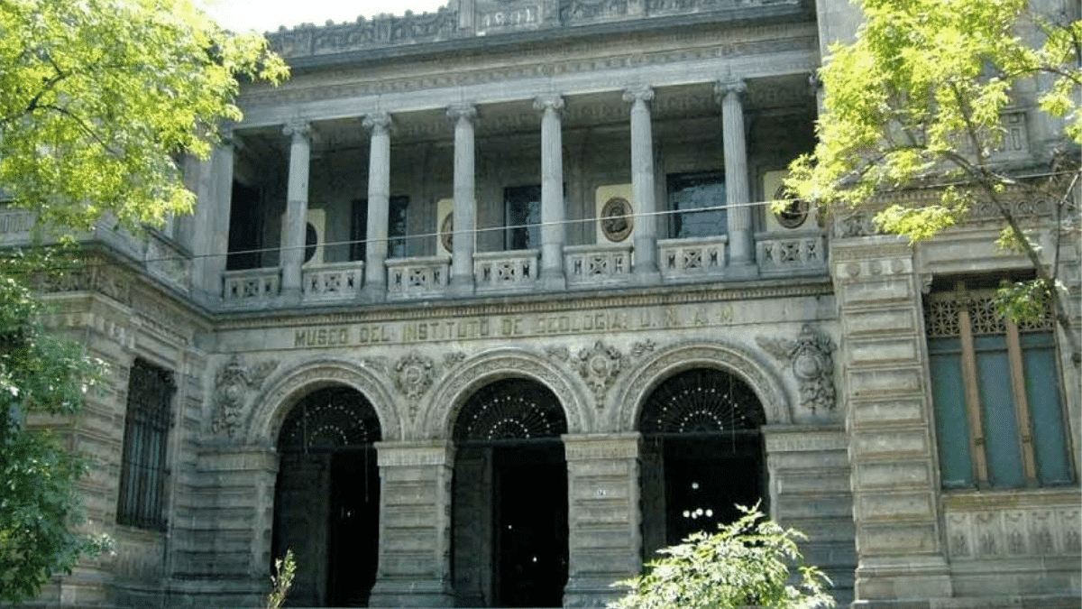 El Museo de Geología UNAM