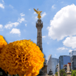 Flores de cempasúchil en Reforma