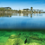 Río Mezquites, Coahuila