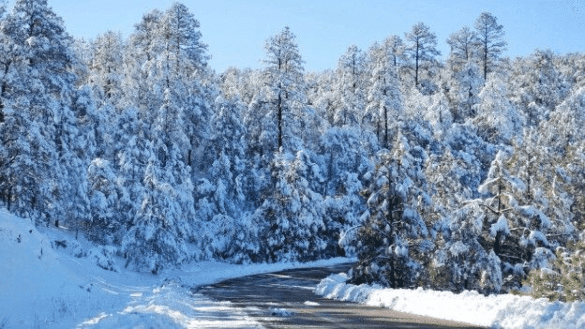 paisaje invernal de cerocahui