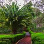 Jardín botánico de Tizatlán