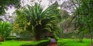 Jardín botánico de Tizatlán