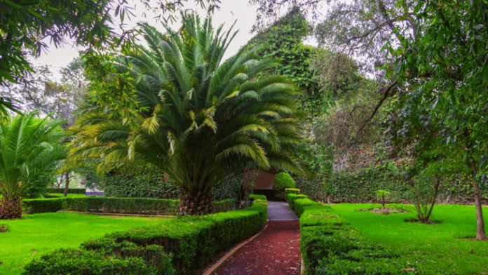 Jardín botánico de Tizatlán