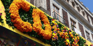 Festival de las flores en la CDMX