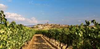 La Rioja en España