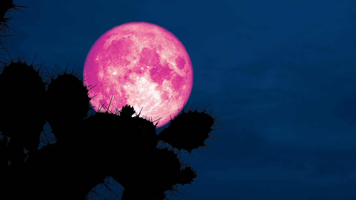 Luna Rosa de abril 