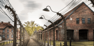 Turismo negro en auschwitz