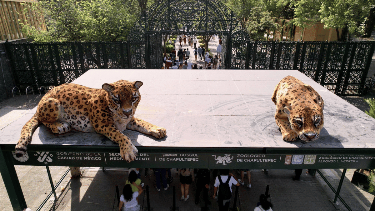 zoológico chapultepec
