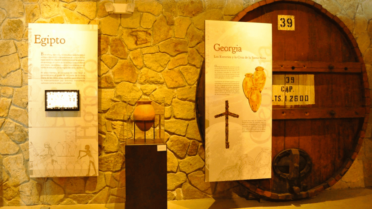 Museo del vino 
