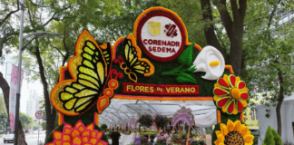 Festival de Flores de Reforma
