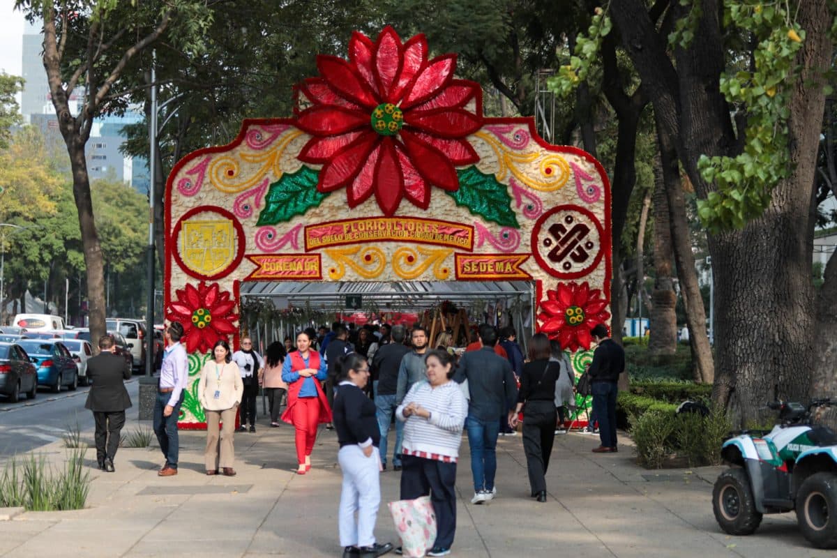 festival de flores de nochebuena en paseo de la reforma