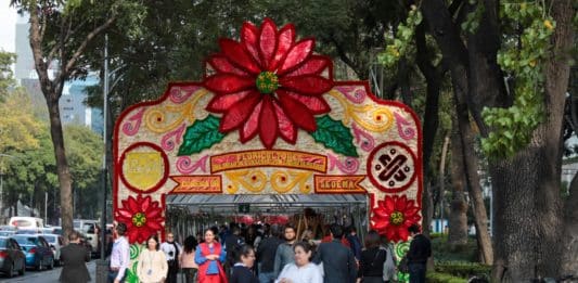 Festival de Flores de Nochebuena en Paseo de la Reforma