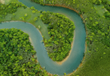el Amazonas