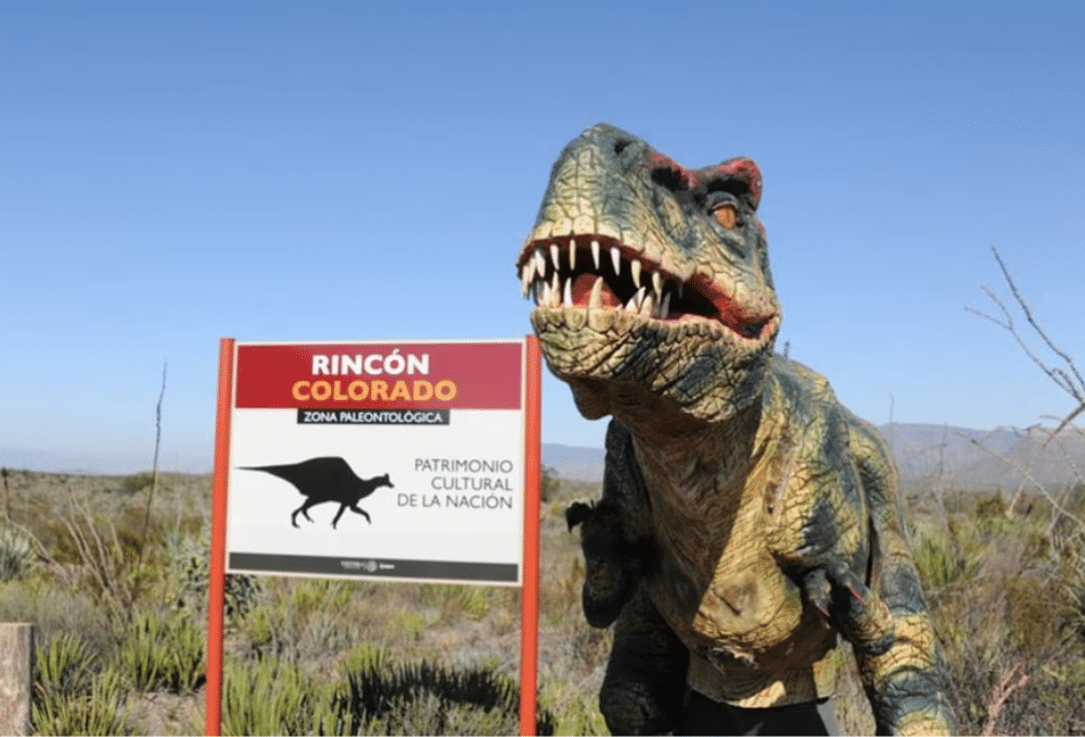 dia del niño: zona paleontológica de rincón colorado, coahuila