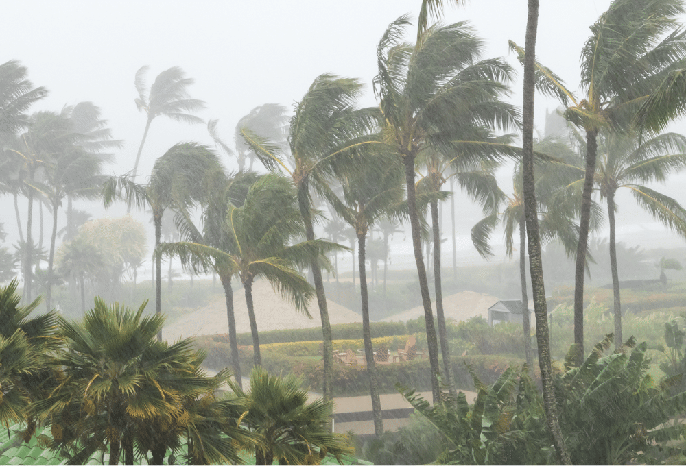 guía de seguridad. ciclones y tormentas tropicales
