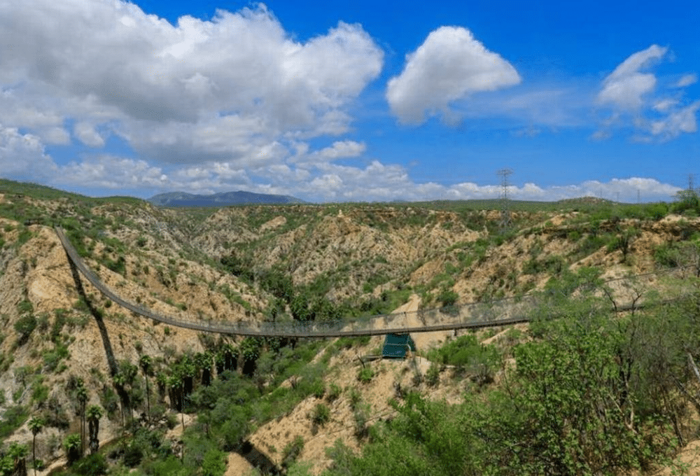 the canyon bridge