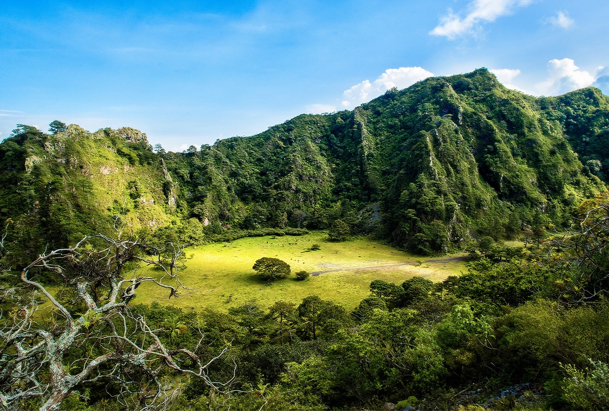 jala, nayarit