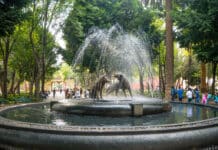 Coyoacan