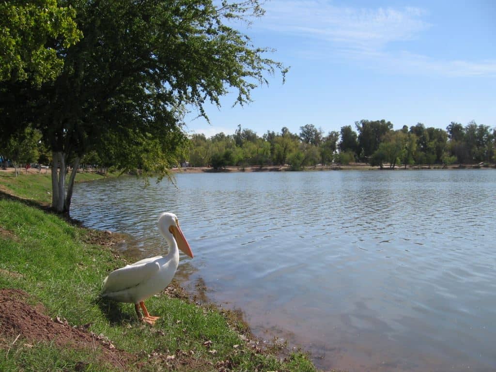 Laguna del Náinari, Ciudad Obregón