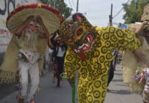 Danza de los Tecuanes. Día de Muertos