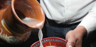 Pulque