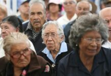 Adultos mayores en la CDMX. Programa ’Colibrí de Plata’