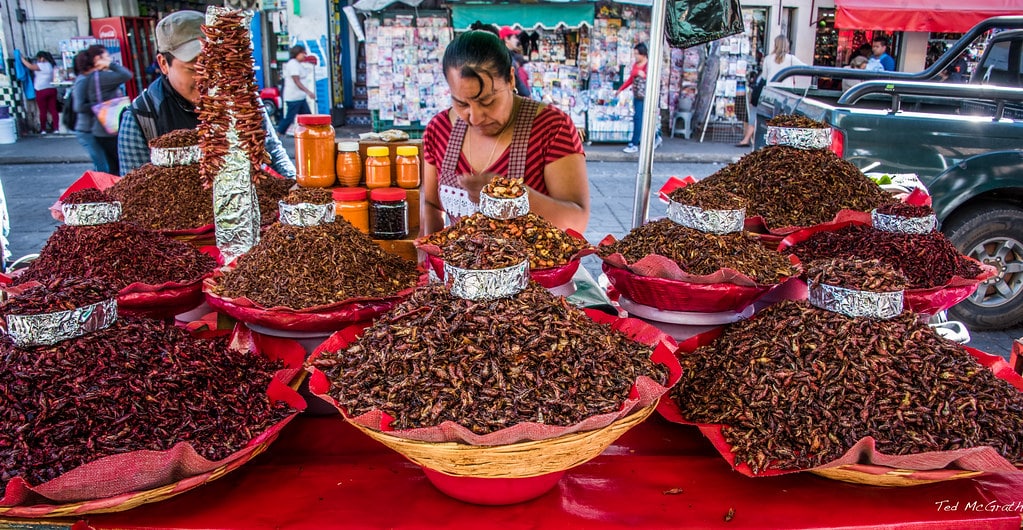 chapulines