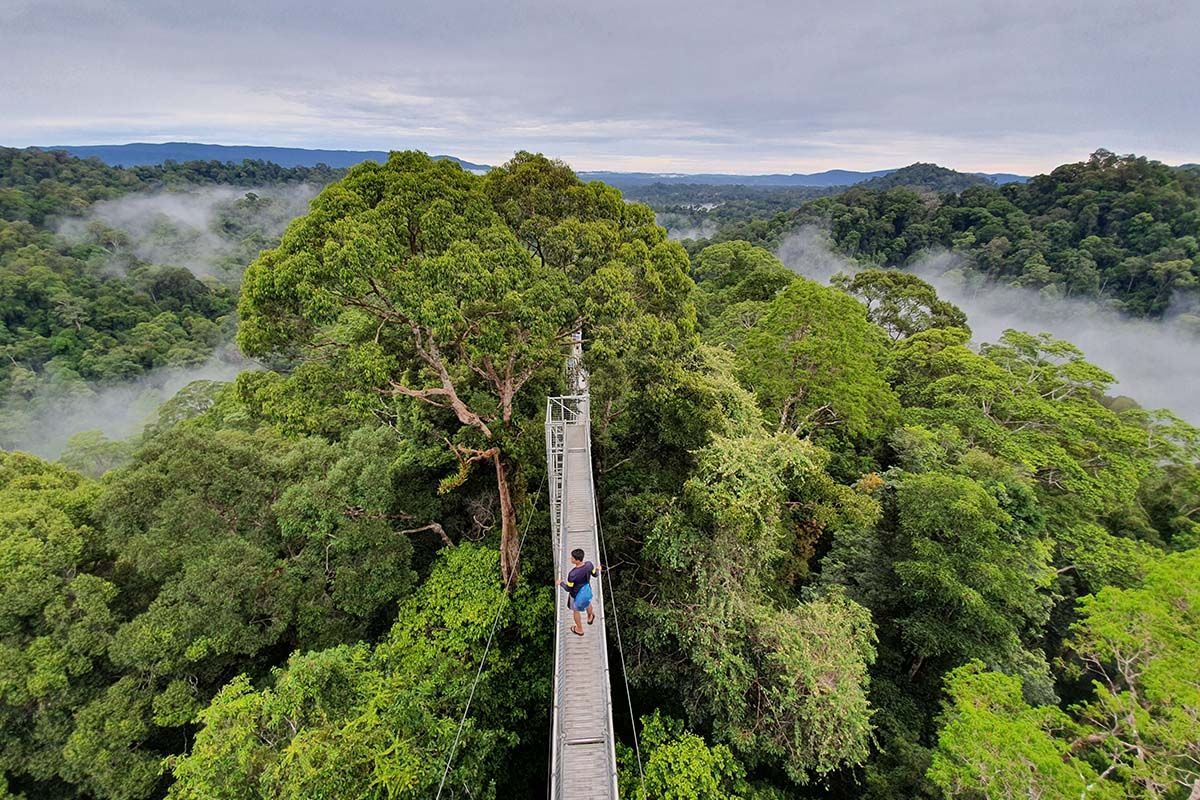 parque nacional ulu temburong, en kuala belait