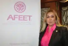 Magdalena Saldívar, nueva presidenta de la AFEET