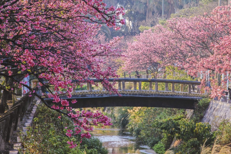 naha, okinawa, japón