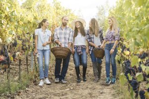 ¡Eventos culturales imperdibles en junio!