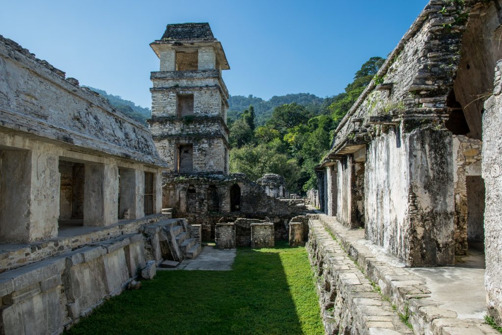 Palenque: Selva y arqueología