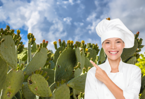 Feria del Nopal 2025