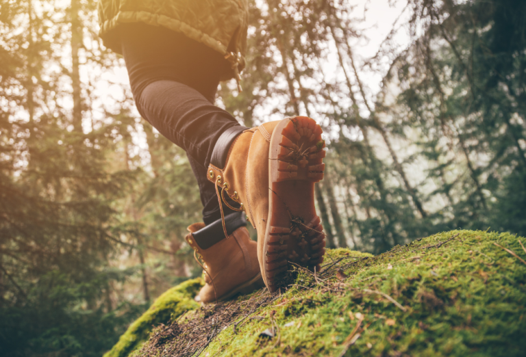 Rutas de senderismo en Oaxaca: itinerarios detallados para disfrutar en familia esta temporada
