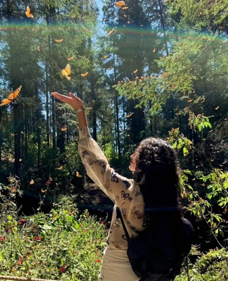 Santuario de la Mariposa Monarca este verano 2025