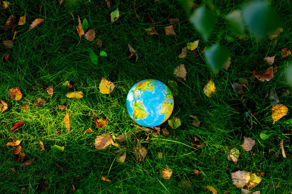 Por un mundo verde.