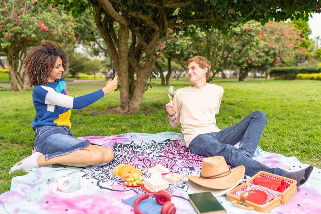 Picnic
